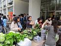 IMG_0186