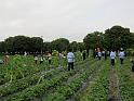 IMG_0298