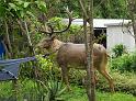 IMG_0448