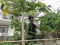 IMG_0453
