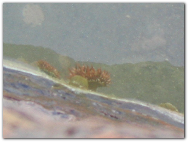 600x449 pixels (61K)