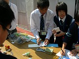 DSCN3733