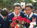 DSCN3753