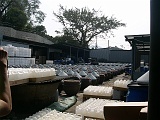 PICT0054