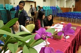 IMG_0804