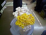 P1000664