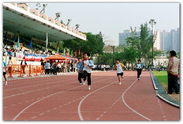 600x399 pixels (131K)