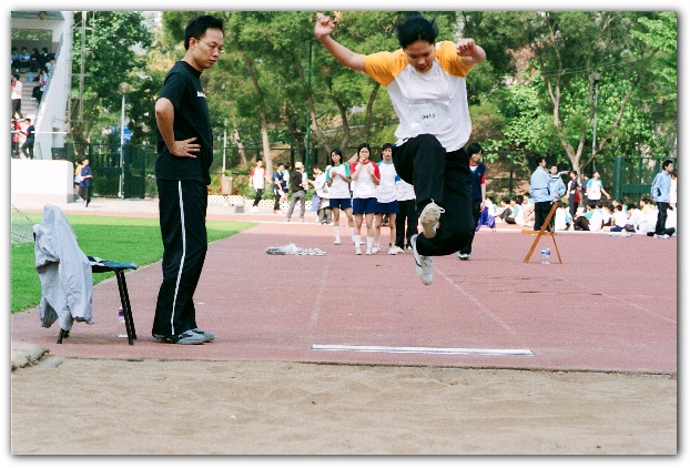 600x399 pixels (131K)