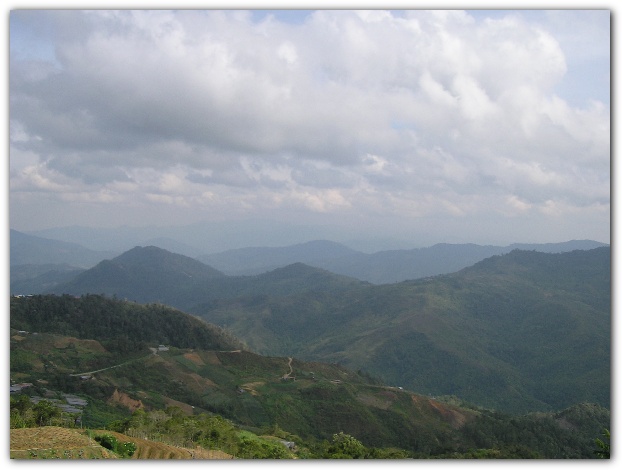 600x448 pixels (75K)