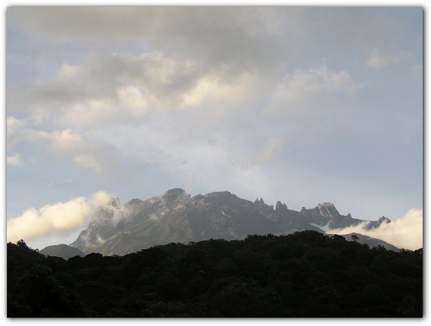 600x448 pixels (63K)