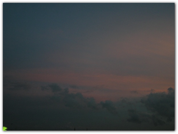 600x448 pixels (51K)