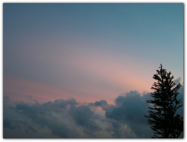 600x448 pixels (56K)