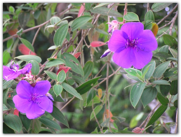 600x448 pixels (115K)