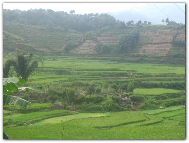 600x449 pixels (100K)