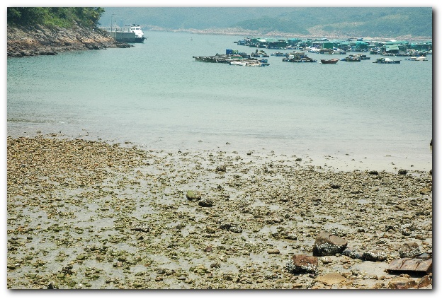 600x398 pixels (165K)