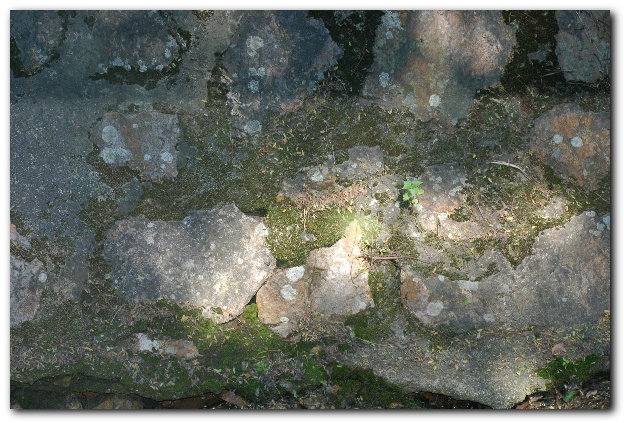 600x398 pixels (161K)
